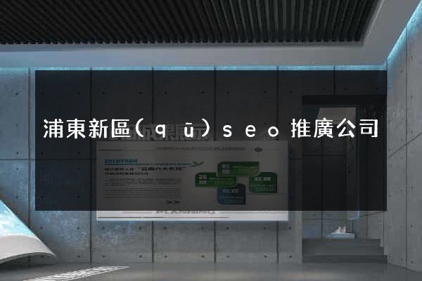 浦東新區(qū)seo推廣公司