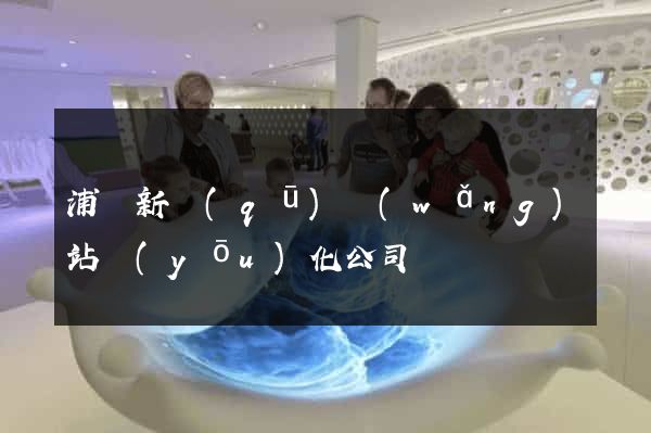 浦東新區(qū)網(wǎng)站優(yōu)化公司