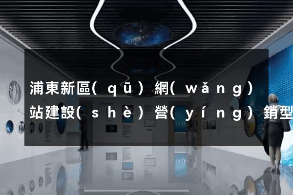 浦東新區(qū)網(wǎng)站建設(shè)營(yíng)銷型