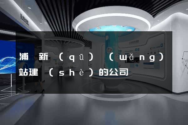 浦東新區(qū)網(wǎng)站建設(shè)的公司