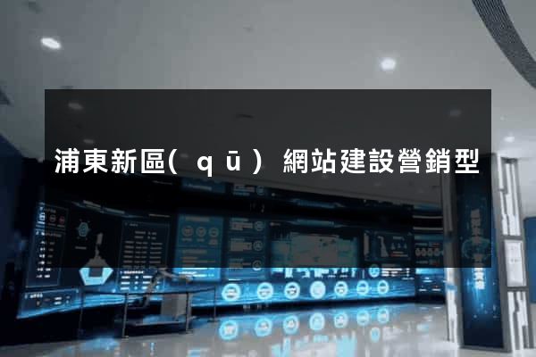 浦東新區(qū)網站建設營銷型