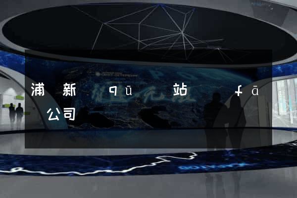 浦東新區(qū)網站開發(fā)公司