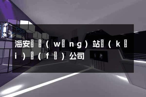 海安縣網(wǎng)站開(kāi)發(fā)公司