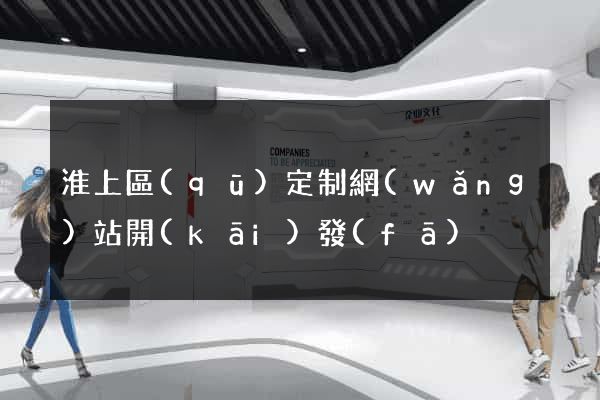 淮上區(qū)定制網(wǎng)站開(kāi)發(fā)
