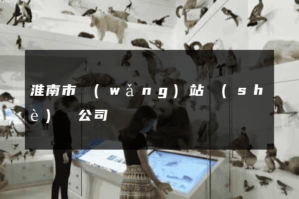 淮南市網(wǎng)站設(shè)計公司