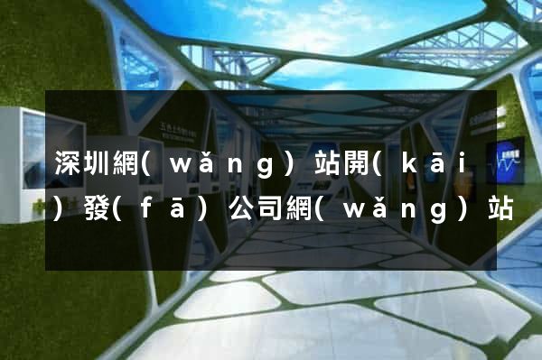 深圳網(wǎng)站開(kāi)發(fā)公司網(wǎng)站