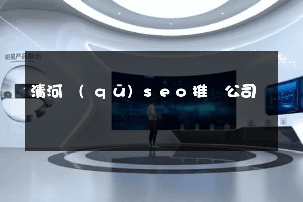 清河區(qū)seo推廣公司