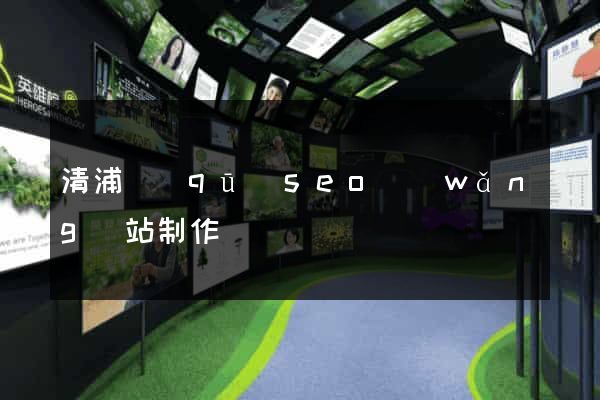 清浦區(qū)seo網(wǎng)站制作