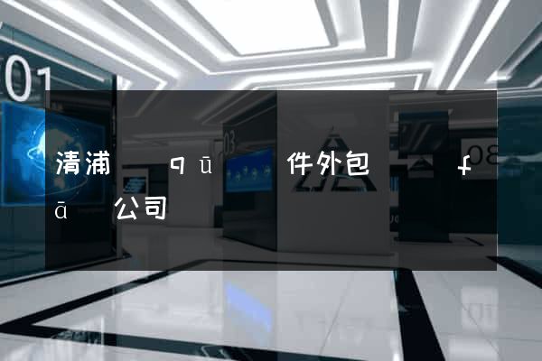 清浦區(qū)軟件外包開發(fā)公司