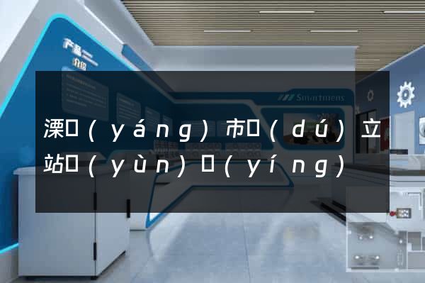 溧陽(yáng)市獨(dú)立站運(yùn)營(yíng)