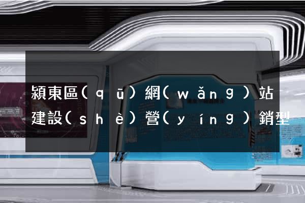潁東區(qū)網(wǎng)站建設(shè)營(yíng)銷型