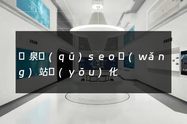 潁泉區(qū)seo網(wǎng)站優(yōu)化