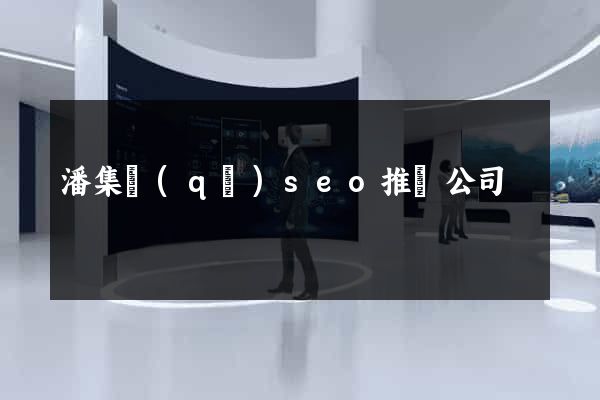 潘集區(qū)seo推廣公司