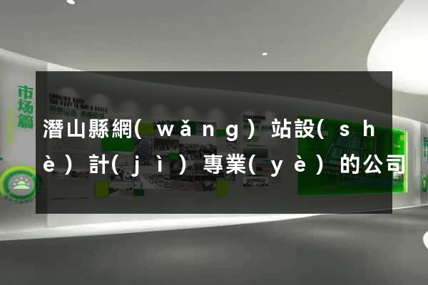 潛山縣網(wǎng)站設(shè)計(jì)專業(yè)的公司