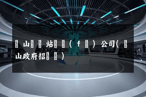 潛山縣網站開發(fā)公司(潛山政府招標網)