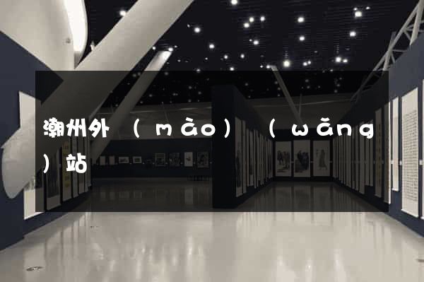 潮州外貿(mào)網(wǎng)站設計