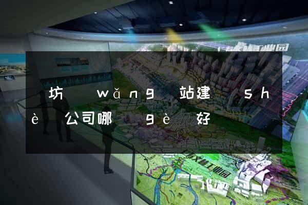 濰坊網(wǎng)站建設(shè)公司哪個(gè)好