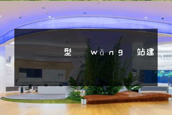 無為縣營銷型網(wǎng)站建設