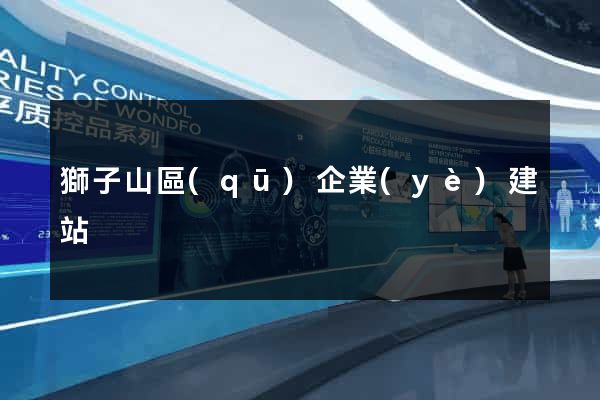 獅子山區(qū)企業(yè)建站