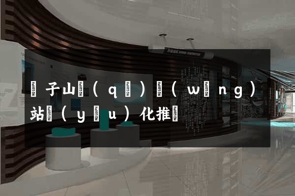 獅子山區(qū)網(wǎng)站優(yōu)化推廣