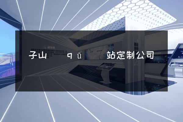 獅子山區(qū)網站定制公司