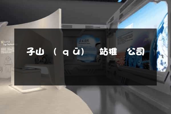 獅子山區(qū)網站推廣公司