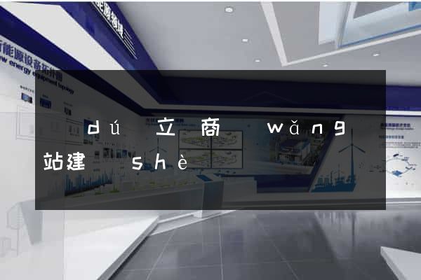 獨(dú)立電商網(wǎng)站建設(shè)