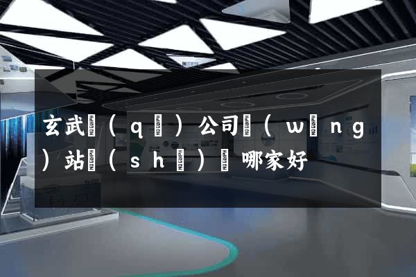玄武區(qū)公司網(wǎng)站設(shè)計哪家好
