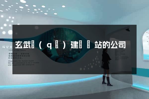 玄武區(qū)建設網站的公司