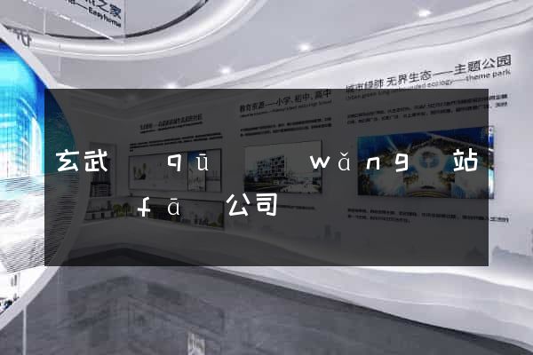 玄武區(qū)網(wǎng)站開發(fā)公司