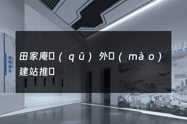 田家庵區(qū)外貿(mào)建站推廣