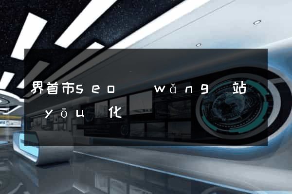 界首市seo網(wǎng)站優(yōu)化