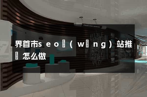 界首市seo網(wǎng)站推廣怎么做