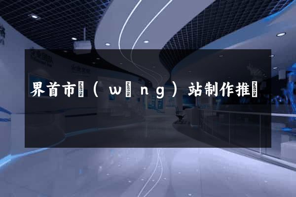 界首市網(wǎng)站制作推廣