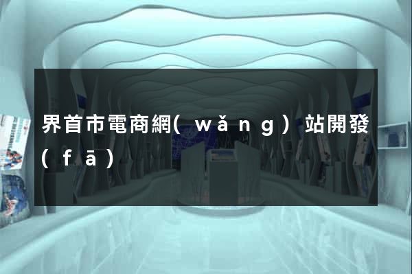 界首市電商網(wǎng)站開發(fā)