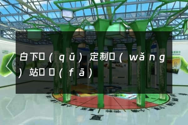 白下區(qū)定制網(wǎng)站開發(fā)