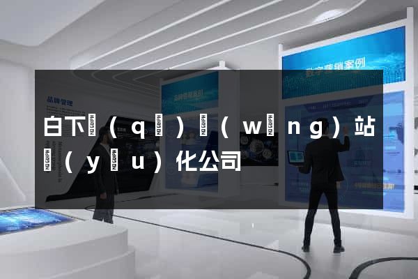 白下區(qū)網(wǎng)站優(yōu)化公司