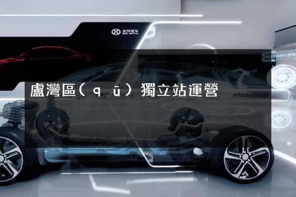 盧灣區(qū)獨立站運營