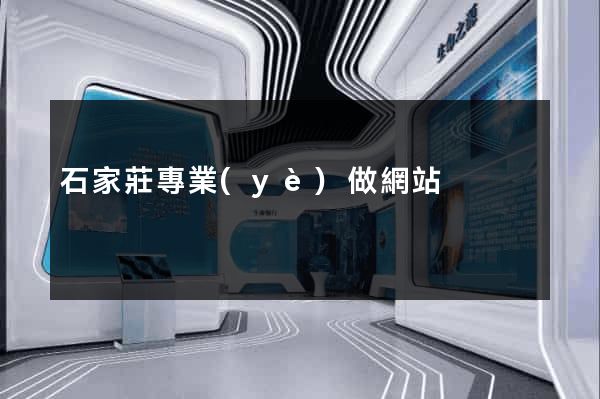 石家莊專業(yè)做網站