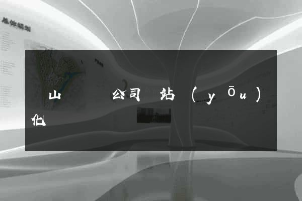 碭山縣設計公司網站優(yōu)化