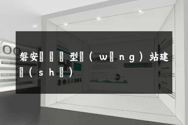 磐安縣營銷型網(wǎng)站建設(shè)