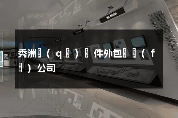 秀洲區(qū)軟件外包開發(fā)公司
