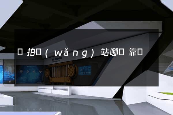 競拍網(wǎng)站哪個靠譜