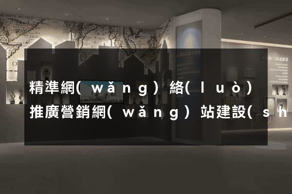 精準網(wǎng)絡(luò)推廣營銷網(wǎng)站建設(shè)優(yōu)化