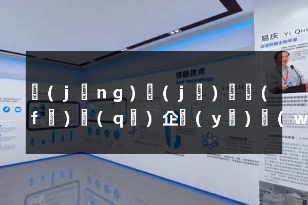 經(jīng)濟(jì)開發(fā)區(qū)企業(yè)網(wǎng)站建設(shè)