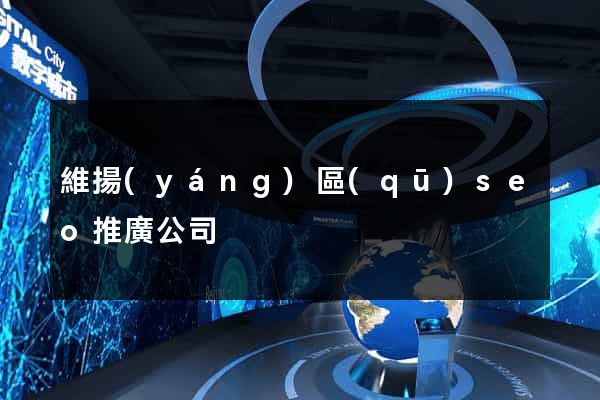 維揚(yáng)區(qū)seo推廣公司