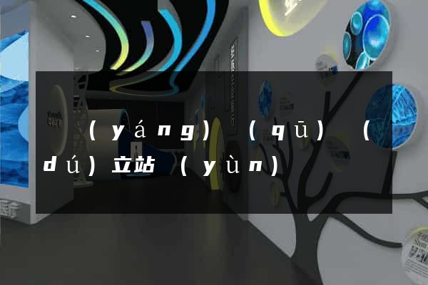 維揚(yáng)區(qū)獨(dú)立站運(yùn)營
