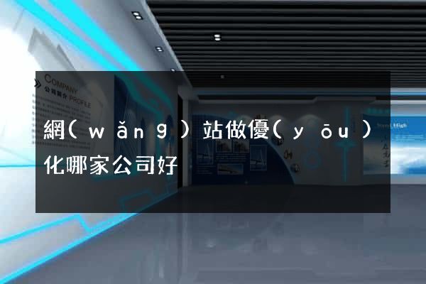 網(wǎng)站做優(yōu)化哪家公司好
