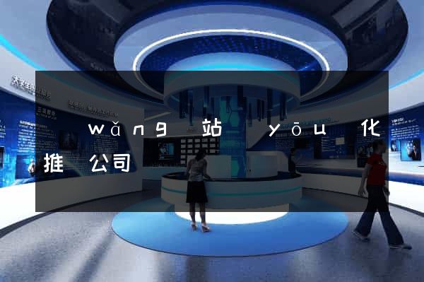 網(wǎng)站優(yōu)化推廣公司