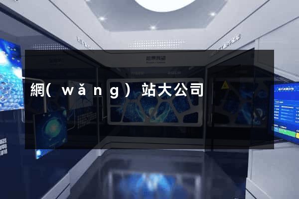 網(wǎng)站大公司